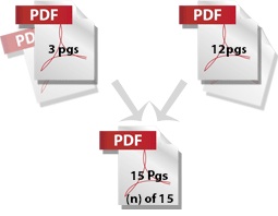 pdf_graphic